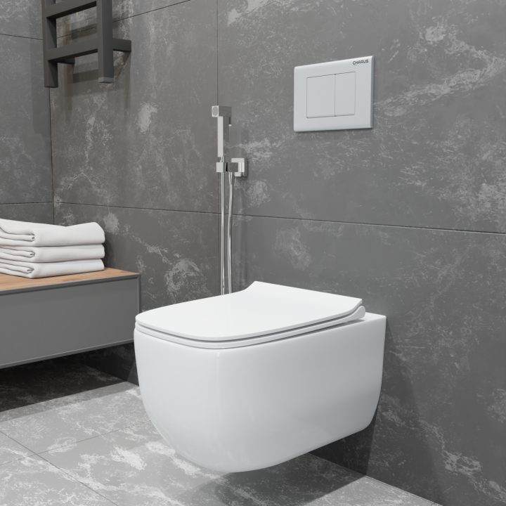 Унитаз Charus Pinto подвесной белый глянцевый, EWC700-126W