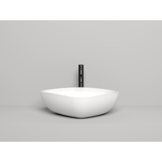 Salini GLORIA Раковина накладная 56x39 см RAL глянцевый