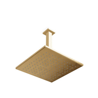 Treemme Q30 Верхний душ потолочный 25.5 см Brushed Gold (золото)