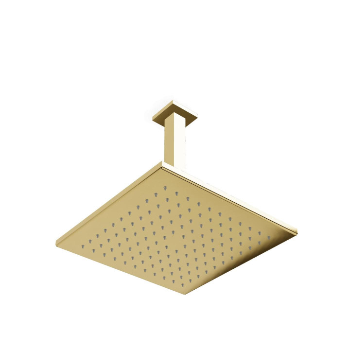 Treemme Q30 Верхний душ 24k Gold, IT0496DDZZZZ