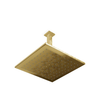 Treemme Q30 Верхний душ потолочный 30 см Brushed Brass (латунь)