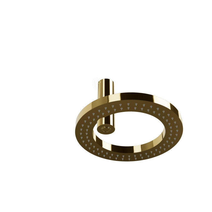 Treemme Верхний душ 24k Gold, IT9B91DDZZZZ