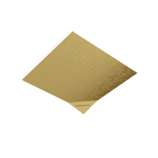 Treemme Shower and Thermostatic Верхний душ потолочный 45x45 см Brushed Brass