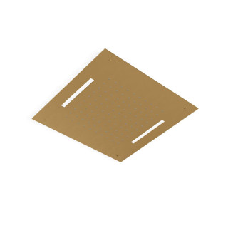 Treemme Shower and Thermostatic Верхний душ потолочный 43x43 см 1 режим с подсветкой Brushed Gold