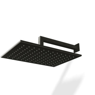 Treemme Arche Верхний душ настенный 36x26 см Brushed Black Chrome