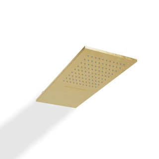 Treemme IOS Верхний душ настенный 50x20 см 2 режима Brushed Brass