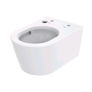 Унитаз TOTO Washlet RW 38x58 см CW542ERY