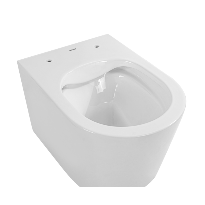 Унитаз Charus Infinto глянцевый подвесной 36x53.5 см, EWC700-130W