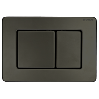 Панель смыва Charus Robusto - оружейная сталь, FP.310.GNM.05