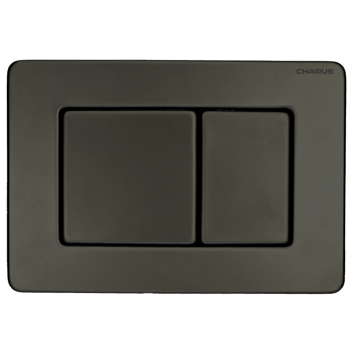 Панель смыва Charus Robusto - оружейная сталь, FP.310.GNM.05