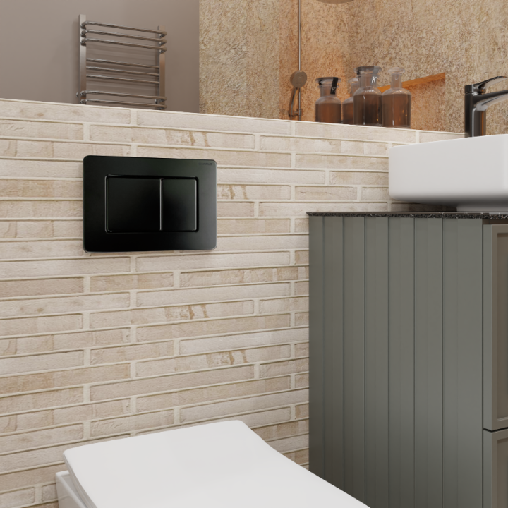 Клавиша смыва Charus Robusto черный матовый, FP.310.MB.05