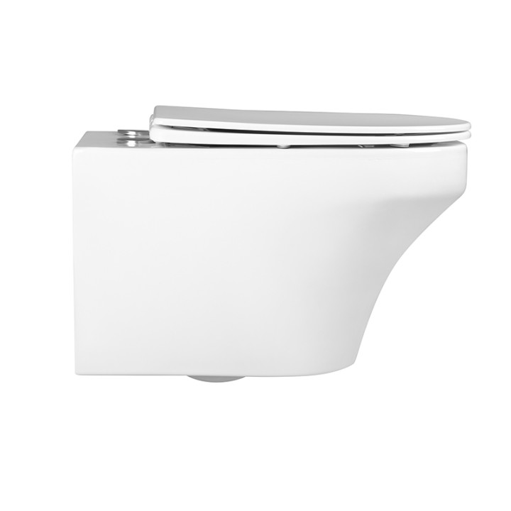 Унитаз Charus Franz D - подвесной, белый, 36.5x55.5 см, EWC700-124W