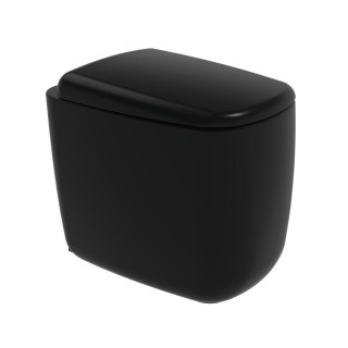 Flaminia Mono Унитаз напольный 35x52x48.3 см Carbone