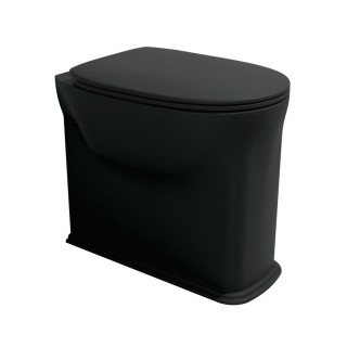 Flaminia Madre Унитаз напольный 36.5x54x48.5 см Carbone
