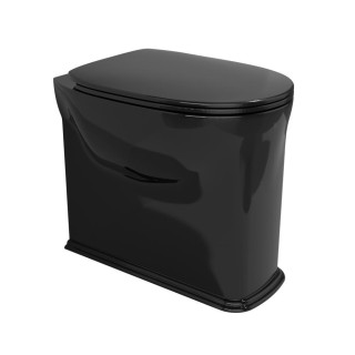 Flaminia Madre Унитаз напольный 36.5x54x48.5 см Nero