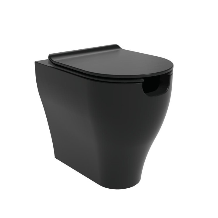 Унитаз Flaminia App Solution Carbone, AP114RSCAR